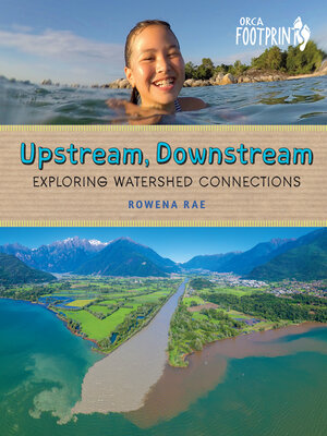 cover image of Upstream, Downstream